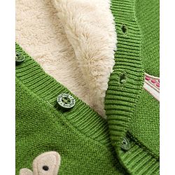 Babyhug Fur- Lined Knit Full Sleeves Dino Embroidered Hooded Sweater - Green