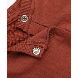 Babyhug 100% Cotton Heavy Gauge Terry Knit Sweatshirt with Full Raglan Sleeves and Animal Patch in Dark Brown