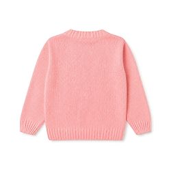 Babyhug Knit Front Open Sweater with Full Sleeves and Flower Embroidery - Rust
