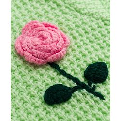 Babyhug Knit Full Sleeves  Pullover With Cable Knit Design & Floral Embroidery - Light Green