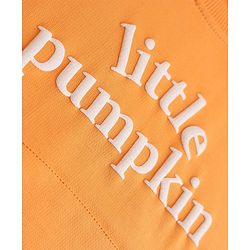 Babyhug Heavy Gauge 100% Cotton Terry Knit Sweatshirt With Full Sleeves and Little Pumpkin Text Print - Orange
