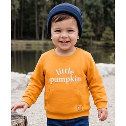 Babyhug Heavy Gauge 100% Cotton Terry Knit Sweatshirt With Full Sleeves and Little Pumpkin Text Print - Orange