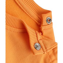Babyhug Heavy Gauge 100% Cotton Terry Knit Sweatshirt With Full Sleeves and Little Pumpkin Text Print - Orange