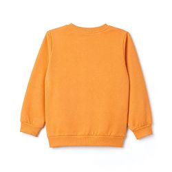 Babyhug Heavy Gauge 100% Cotton Terry Knit Sweatshirt With Full Sleeves and Little Pumpkin Text Print - Orange