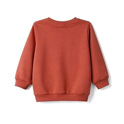 Babyhug Heavy Gauge 100% Cotton Terry Knit Sweatshirt with Full Sleeves and Basketball Print -Brown