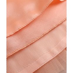 Babyhug Mesh Woven Sleeveless Layered Party Dress With Embroidery - Peach