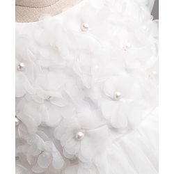 Babyhug Mesh Woven Cap Sleeves Solid Colour Frock with Floral Applique - White