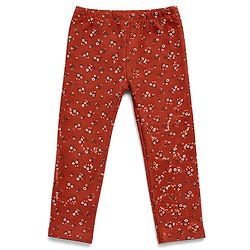 Babyhug Cotton Elastane Knit Full Length Lycra Leggings With Floral Print Pack of 3 - Red Pink Cream