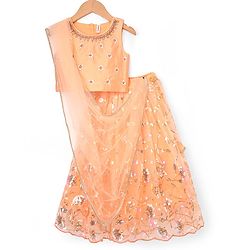 Babyhug Net Woven Sleeveless Chanderi Lehenga Choli and Dupatta Set With  Floral Embroidery & Sequin Detailing - Peach