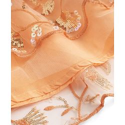 Babyhug Net Woven Sleeveless Chanderi Lehenga Choli and Dupatta Set With  Floral Embroidery & Sequin Detailing - Peach