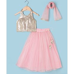 Babyhug Net Woven Sleeveless Sequinned Choli & Shimmer Net Embroidered Lehenga Set With Dupatta - Pink