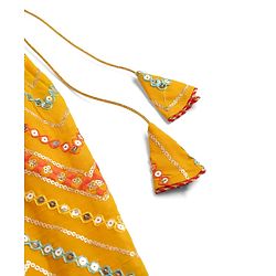 Babyhug Georgette Woven Sleeveless Sequinned & Floral Embroidered Choli Lehenga  and Dupatta Set - Red