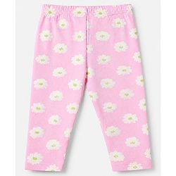 Babyhug Cotton Elastane Knit Full Length Slim Fit Leggings With Floral Print Pack of 3 - Pink Green Navy Blue