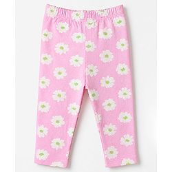Babyhug Cotton Elastane Knit Full Length Slim Fit Leggings With Floral Print Pack of 3 - Pink Green Navy Blue