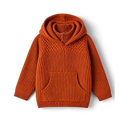 Babyhug Knit Full Sleeves Hooded Solid Sweater - Rust Orange