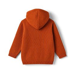 Babyhug Knit Full Sleeves Hooded Solid Sweater - Rust Orange