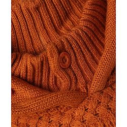 Babyhug Knit Full Sleeves Hooded Solid Sweater - Rust Orange