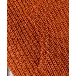 Babyhug Knit Full Sleeves Hooded Solid Sweater - Rust Orange