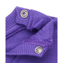 Babyhug 100% Cotton Terry Knit Heavy Gauge Full Sleeves Bear & Text Printed Sweatshirt at Front & Back - Purple