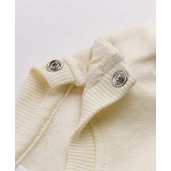 Babyhug Heavy Gauge Terry Knit Full Sleeves Sweatshirt with Dino Print & Kangaroo Pocket  - Off White