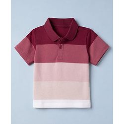 Babyhug 100% Cotton Knit Half Sleeves Striped T-Shirt and Shorts Set - Pink & Maroon