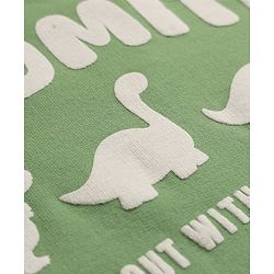 Babyhug Heavy Gauge 100% Cotton Terry Knit Full Sleeves Sweatshirts With Dinosaur and Text Print Pack of 2 - White & Green