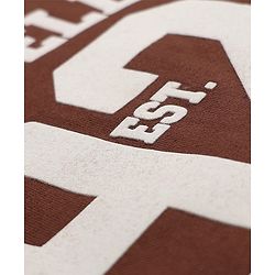 Babyhug Terry Knit Full Sleeves T-Shirt & Joggers Set With Text Print - Brown