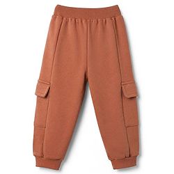 Babyhug Terry Knit Full Sleeves T-Shirt & Joggers Set With Text Print - Brown