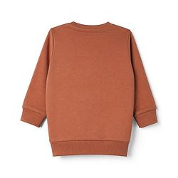 Babyhug Terry Knit Full Sleeves T-Shirt & Joggers Set With Text Print - Brown