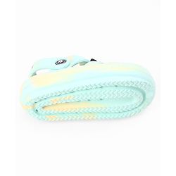 Cute Walk by Babyhug Back Strap Closure Clogs With Dino Applique - Mint