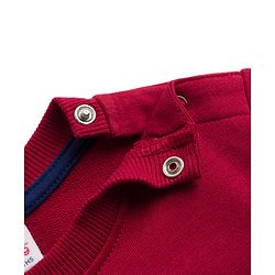 Babyhug Heavy Gauge 100% Cotton Knit Sweatshirt with Full Sleeves and Champion Text Print - Red