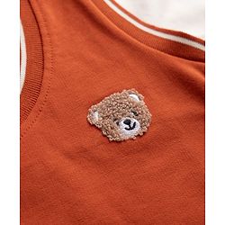 Babyhug 100% Cotton Knit Full Sleeves Heavy Gauge Sweatshirt With Tie & Bear Applique - Orange