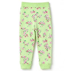 Babyhug 100% Cotton Single Jersey Knit Full Length Lounge Pant With Floral Print Pack of 2 - Pink Green