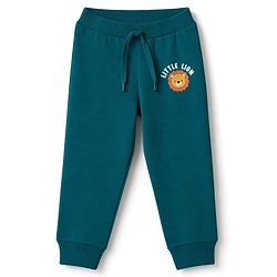 Babyhug 100% Cotton Single Jersey Knit Full Length Lounge Pant with Animals Face Print Pack of 3 - Teal Blue Cream & Rust Orange