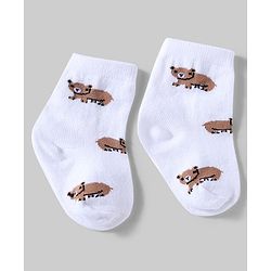 Cute Walk By Babyhug Knit Anti-Bacterial Ankle Length Socks With Animal Design Pack Of 5 - White, Maroon & Green
