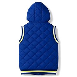 Babyhug Woven Sleeveless Hooded Padded Solid Colour Jacket - Royal Blue