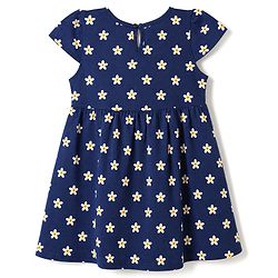 Babyhug Single Jersey Cotton Knit Frock with Half Sleeves and Floral Print - Blue