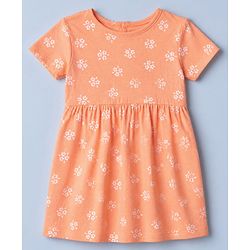 Babyhug Single Jersey Knit Frocks with Half Sleeves and Dots Print Pack of 2 in Peach & Pink