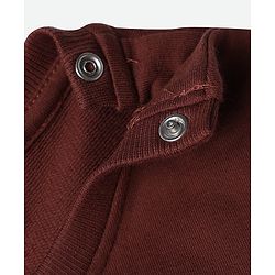 Babyhug 100% Cotton Knit Full Sleeves Sweatshirt With Bear Applique - Brown