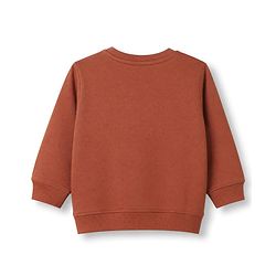 Babyhug 100% Cotton Knit Sweatshirt with Full Sleeves and Little Explorer Text in Brown