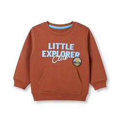 Babyhug 100% Cotton Knit Sweatshirt with Full Sleeves and Little Explorer Text in Brown