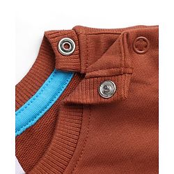 Babyhug 100% Cotton Knit Sweatshirt with Full Sleeves and Little Explorer Text in Brown