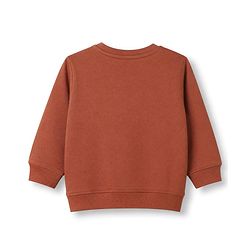 Babyhug 100% Cotton Knit Sweatshirt with Full Sleeves and Little Explorer Text in Brown