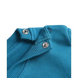 Babyhug 100% Cotton Terry Heavy Gauge Sweatshirt with Full Sleeves and New York City Print - Blue