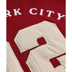 Babyhug 100% Cotton Terry Knit Heavy Gauge Sweatshirt with Full Sleeves and New York City Applique - Maroon