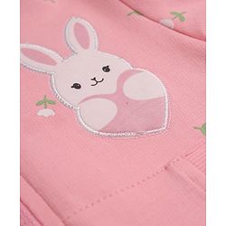 Babyhug 100% Cotton Heavy Gauge Terry Knit Sweatshirt With Full Sleeves and Rabbit Patch in Pink