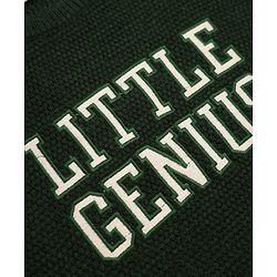 Babyhug Knit Pullover with Full Sleeves and Little Genius Text in Dark Green