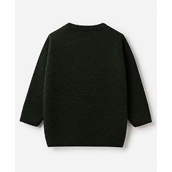 Babyhug Knit Pullover with Full Sleeves and Little Genius Text in Dark Green