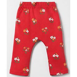 Babyhug Cotton Interlock Knit Diaper Leggings With Floral Print Pack of 3 - Red & Yellow