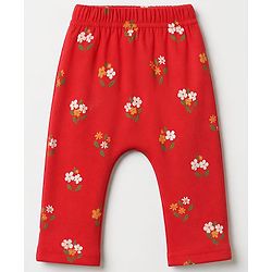 Babyhug Cotton Interlock Knit Diaper Leggings With Floral Print Pack of 3 - Red & Yellow